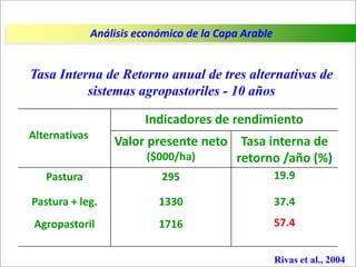 Impacto de la investigación del CIAT en los Llanos. Colombia