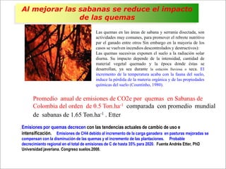 Impacto de la investigación del CIAT en los Llanos. Colombia