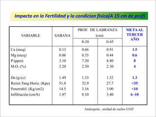 Impacto de la investigación del CIAT en los Llanos. Colombia