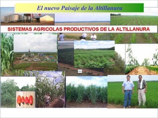 Impacto de la investigación del CIAT en los Llanos. Colombia