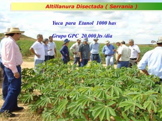 Impacto de la investigación del CIAT en los Llanos. Colombia