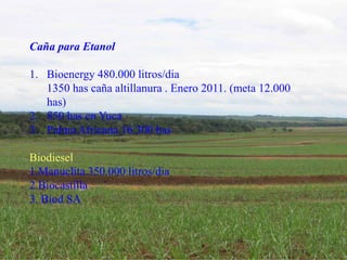 Impacto de la investigación del CIAT en los Llanos. Colombia