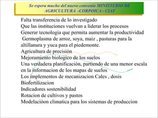 Impacto de la investigación del CIAT en los Llanos. Colombia