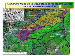 Impacto de la investigación del CIAT en los Llanos. Colombia