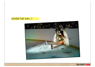 omdat het kan...!
 