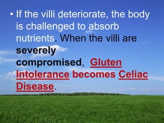 If the villi deteriorate, the body is challenged to absorb nutrients. When the villi are severely compromised,  Gluten Intolerance becomes Celiac Disease. 