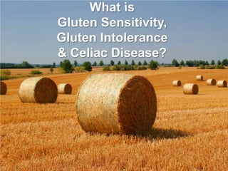 What is Gluten Sensitivity, Gluten Intolerance & Celiac Disease?
