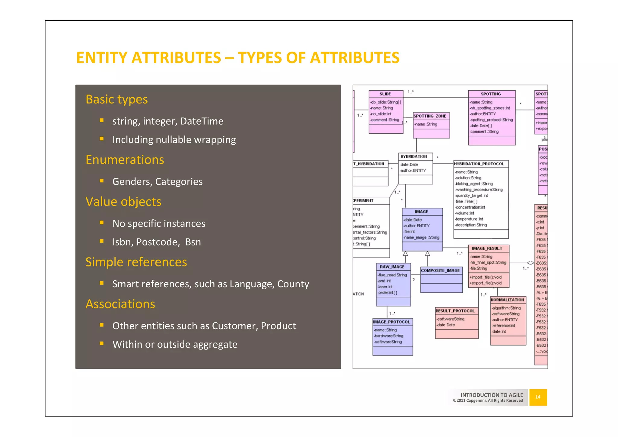 ENTITY ATTRIBUTES – TYPES OF ATTRIBUTES

 Basic types
     string, integer, DateTime
     Including nullable wrapping
 Enumerations
     Genders, Categories
 Value objects
     No specific instances
     Isbn, Postcode, Bsn
 Simple references
     Smart references, such as Language, County
 Associations
     Other entities such as Customer, Product
     Within or outside aggregate



                                                      INTRODUCTION TO AGILE              14
                                                  ©2011 Capgemini. All Rights Reserved
 