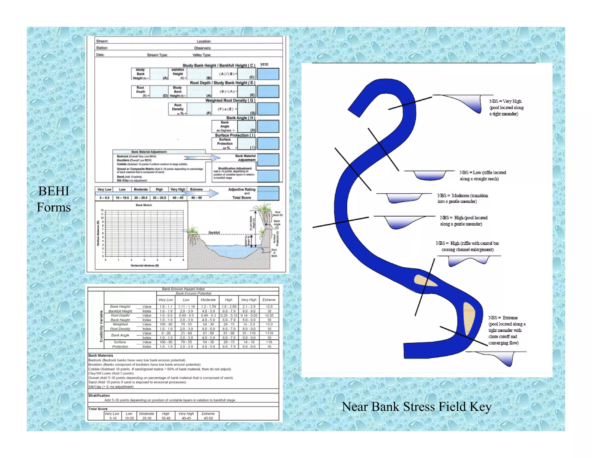 BEHI
Forms
Near Bank Stress Field Key
 