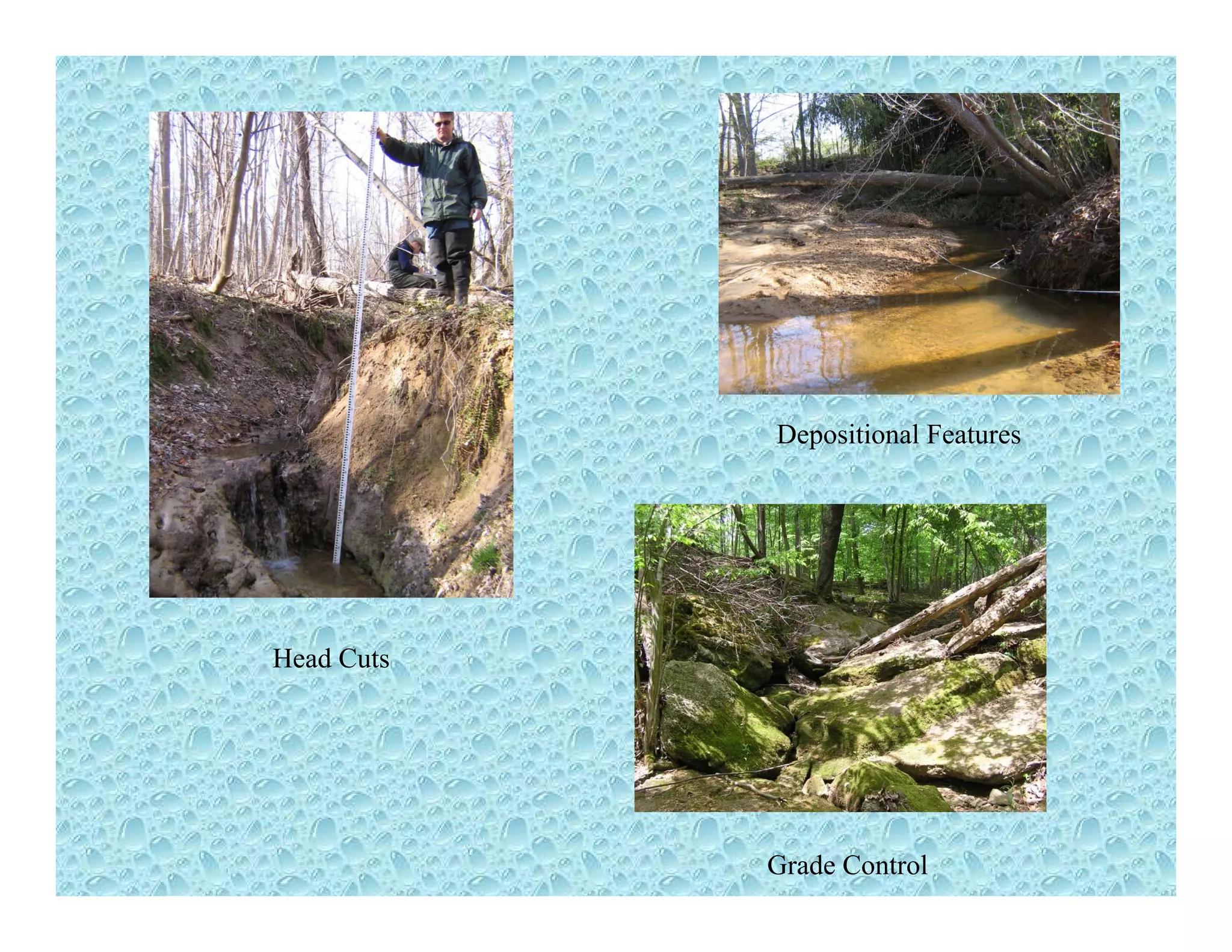 Depositional Features
Head CutsHead Cuts
Grade Control
 