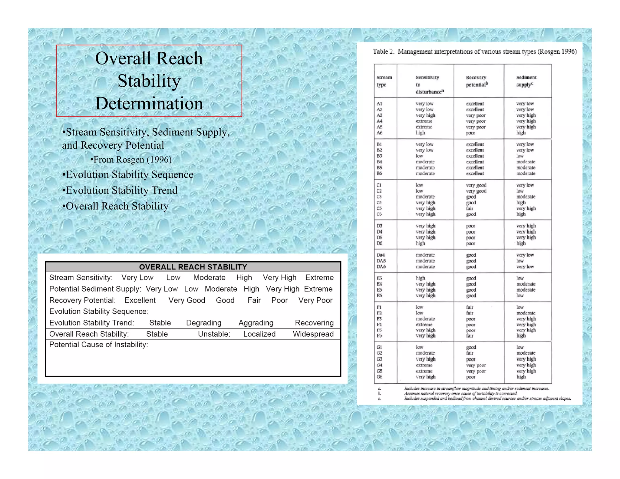 Overall Reach
Stabilityy
Determination
•Stream Sensitivity, Sediment Supply,
and Recovery Potentialy
•From Rosgen (1996)
•Evolution Stability Sequence
•Evolution Stability Trend
•Overall Reach StabilityOverall Reach Stability
 