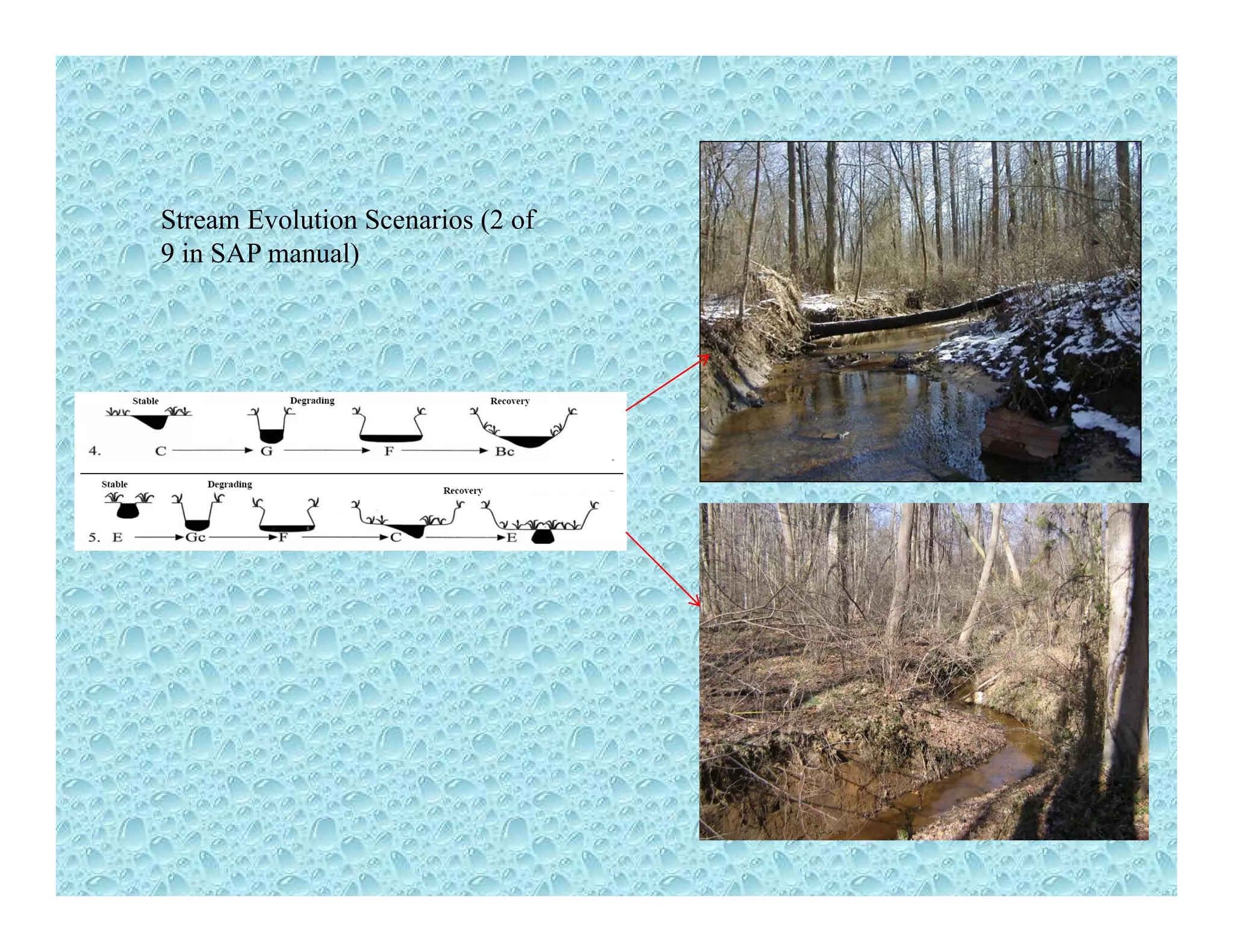 Stream Evolution Scenarios (2 of
9 in SAP manual)
 
