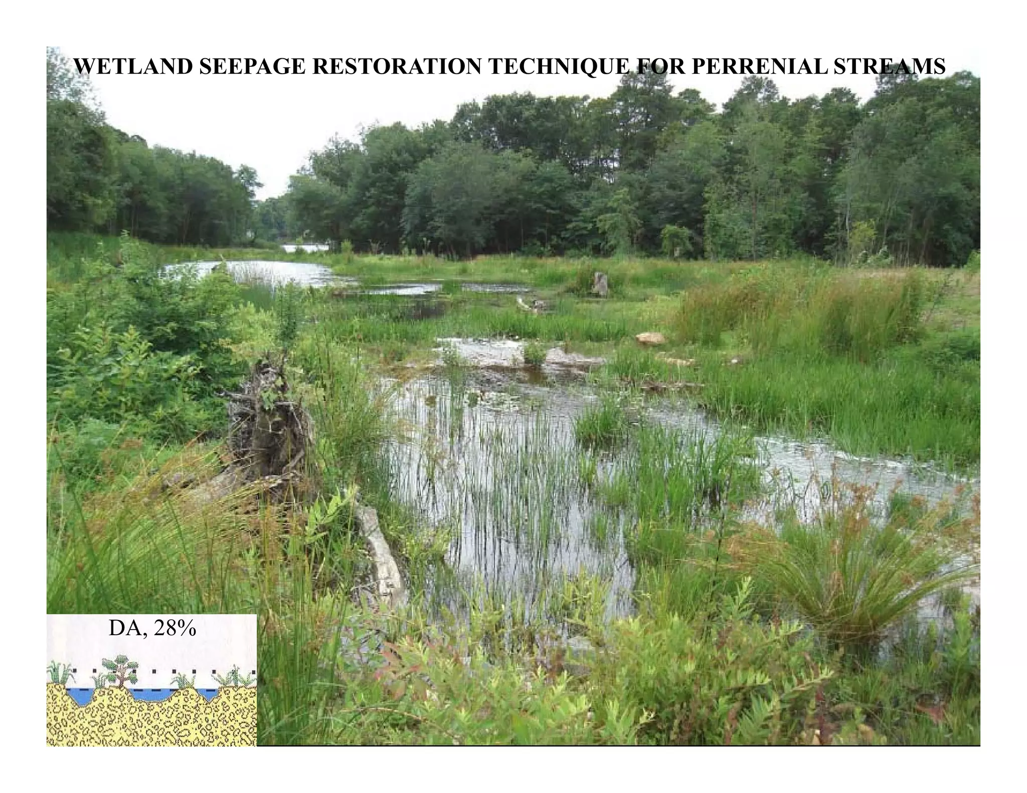 WETLAND SEEPAGE RESTORATION TECHNIQUE FOR PERRENIAL STREAMS
DA, 28%
 