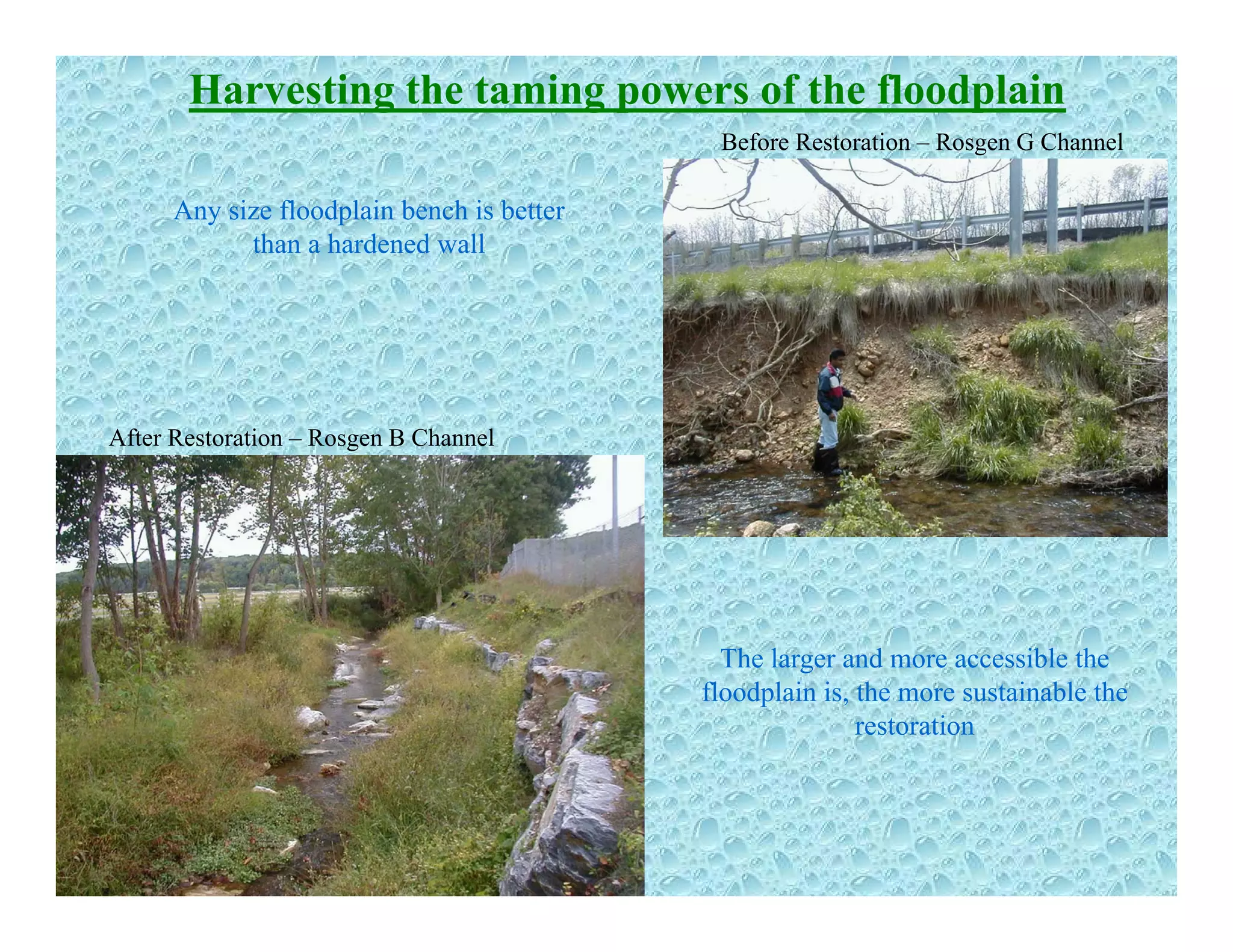 Harvesting the taming powers of the floodplain
Before Restoration – Rosgen G Channel
Any size floodplain bench is better
than a hardened wall
After Restoration – Rosgen B Channel
The larger and more accessible theThe larger and more accessible the
floodplain is, the more sustainable the
restoration
 