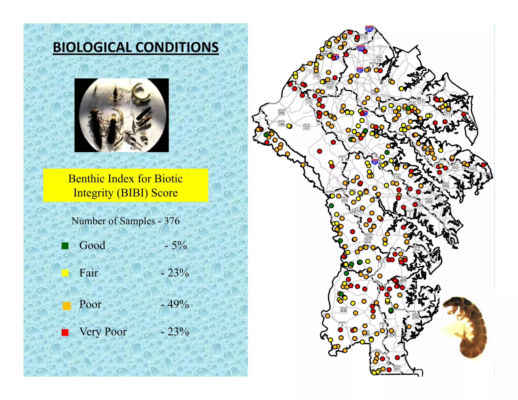BIOLOGICAL CONDITIONS
B hi I d f Bi iBenthic Index for Biotic
Integrity (BIBI) Score
Number of Samples - 376p
- 5%
- 23%Fair
Good
23%
- 49%
Fair
Poor
- 23%Very Poor
 