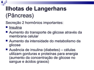 Ilhotas de Langerhans
(Pâncreas)
Secreção 2 hormônios importantes:
 Insulina
 Aumento do transporte de glicose através da
membrana celular
 Aumento da intensidade do metabolismo da
glicose
 Ausência de insulina (diabetes) – células
utilizam gorduras e proteínas para energia
(aumento da concentração de glicose no
sangue e ácidos graxos)
 