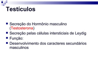 Testículos
 Secreção do Hormônio masculino
(Testosterona)
 Secreção pelas células intersticiais de Leydig
 Função:
 Desenvolvimento dos caracteres secundários
masculinos
 