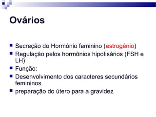 Ovários
 Secreção do Hormônio feminino (estrogênio)
 Regulação pelos hormônios hipofisários (FSH e
LH)
 Função:
 Desenvolvimento dos caracteres secundários
femininos
 preparação do útero para a gravidez
 