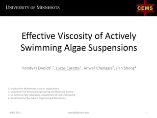 1 caret004@umn.edu University of Minnesota Effective Viscosity of Actively Swimming Algae Suspensions Randy H Ewoldt1,2, Lucas Caretta2 , Anwar Chengala3, Jian Sheng4 1. Institute for Mathematics and its Applications  2. Department of Chemical Engineering and Materials Science3. St. Anthony Falls Laboratory, Department of Civil Engineering4. Department of Aerospace Engineering & Mechanics 4/5/2011 