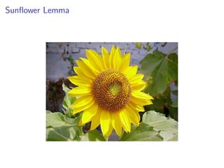 Sunﬂower Lemma
 