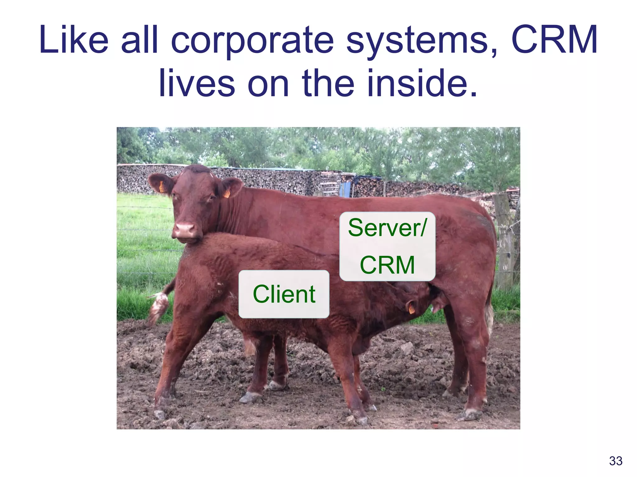 Like all corporate systems, CRM lives on the inside. Client Server/ CRM 