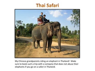 Thai Safari<br />My Chinese grandparents riding an elephant in Thailand!  Make sure to book such a trip with a company tha...