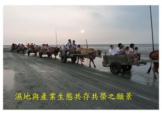 濕地與產業生態共存共榮之願景
 