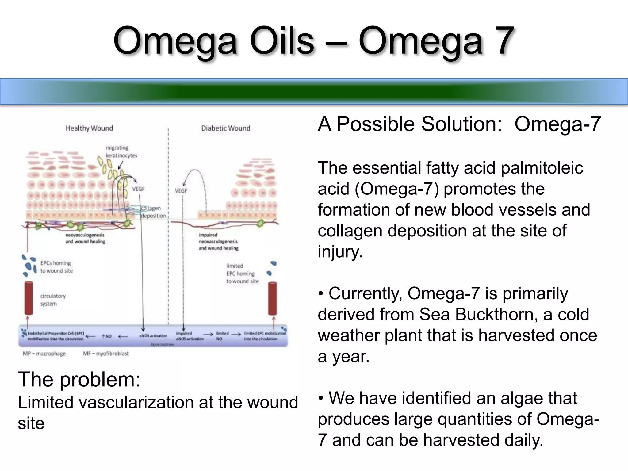 Adoption of these technologies will help increase understanding of algal lipid dynamics and standardize the way lipids are measured in the industry.The Diversity of Algae There are ~100,000 species of algae
