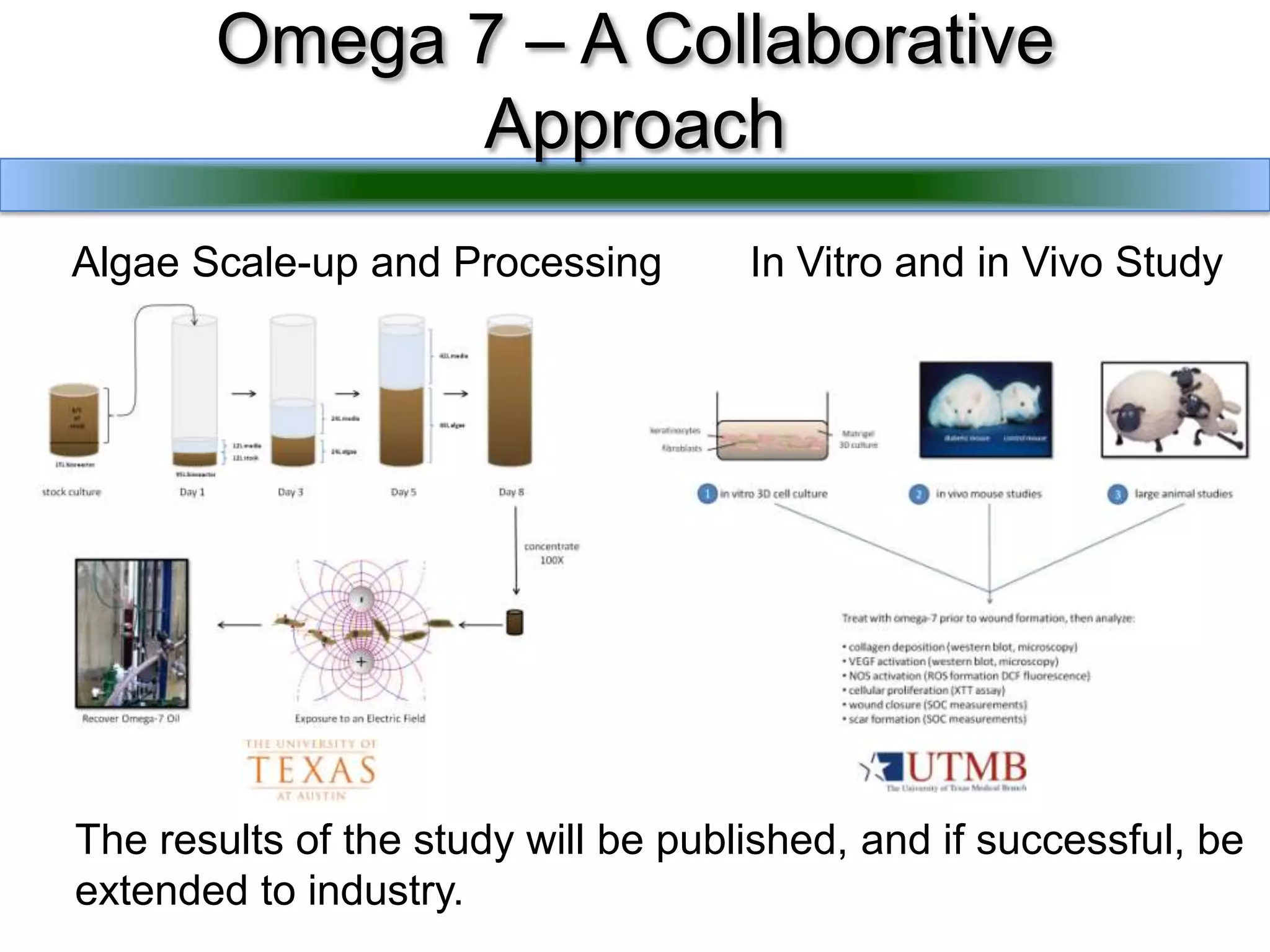  high in proteins and/or carbohydrates (animal or aquaculture feeds)