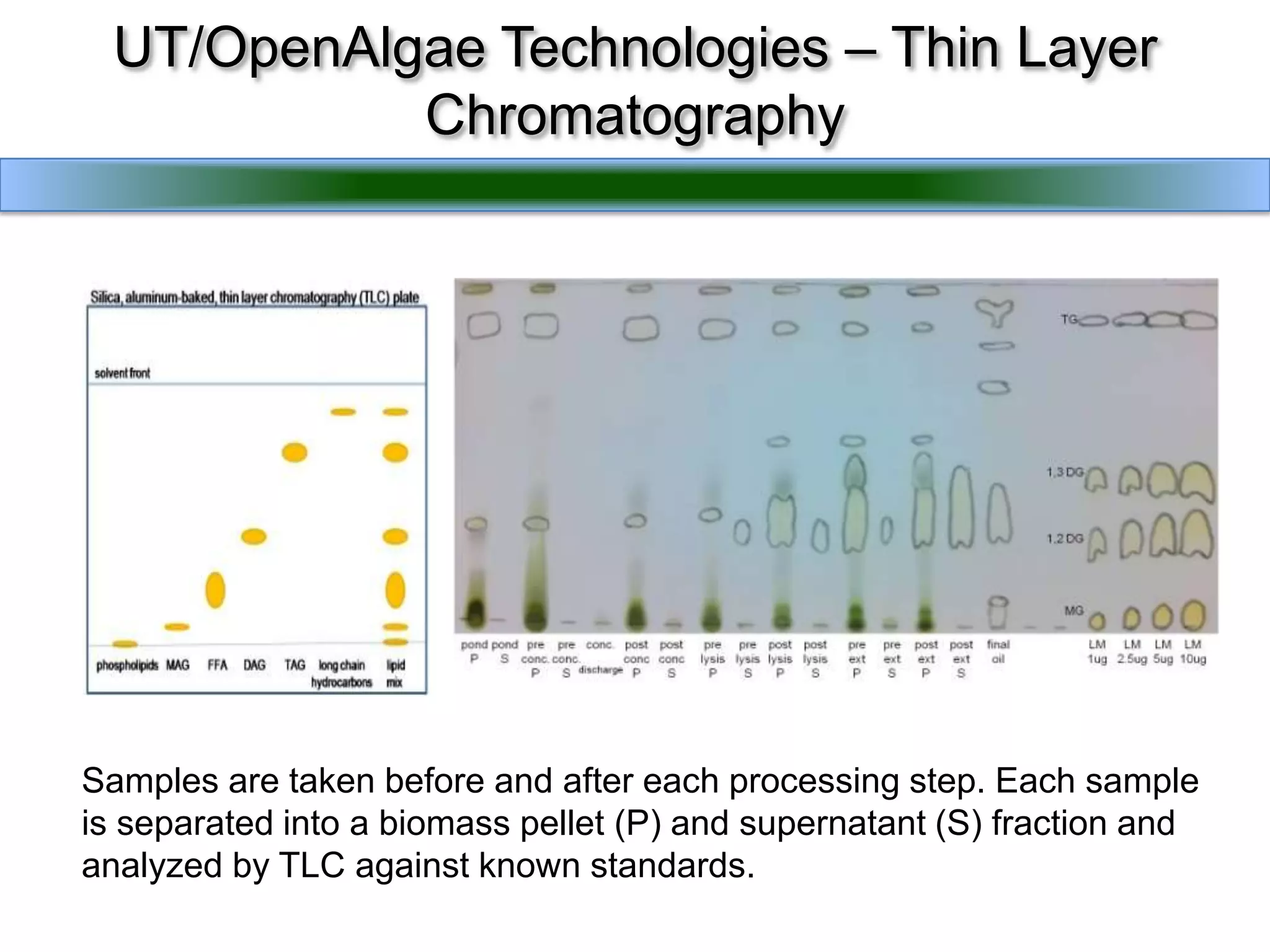 UT/OpenAlgae Technologies – Thin Layer ChromatographySamples are taken before and after each processing step. Each sample is separated into a biomass pellet (P) and supernatant (S) fraction and analyzed by TLC against known standards.