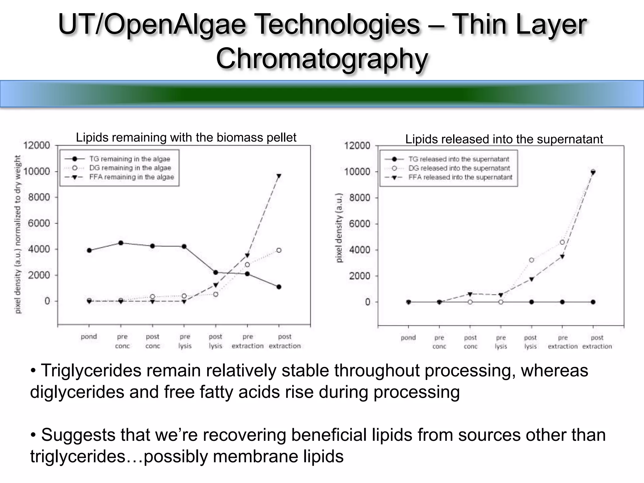 UT/OpenAlgae Technologies – Thin Layer ChromatographyLipids released into the supernatantLipids remaining with the biomass pellet Triglycerides remain relatively stable throughout processing, whereas diglycerides and free fatty acids rise during processing