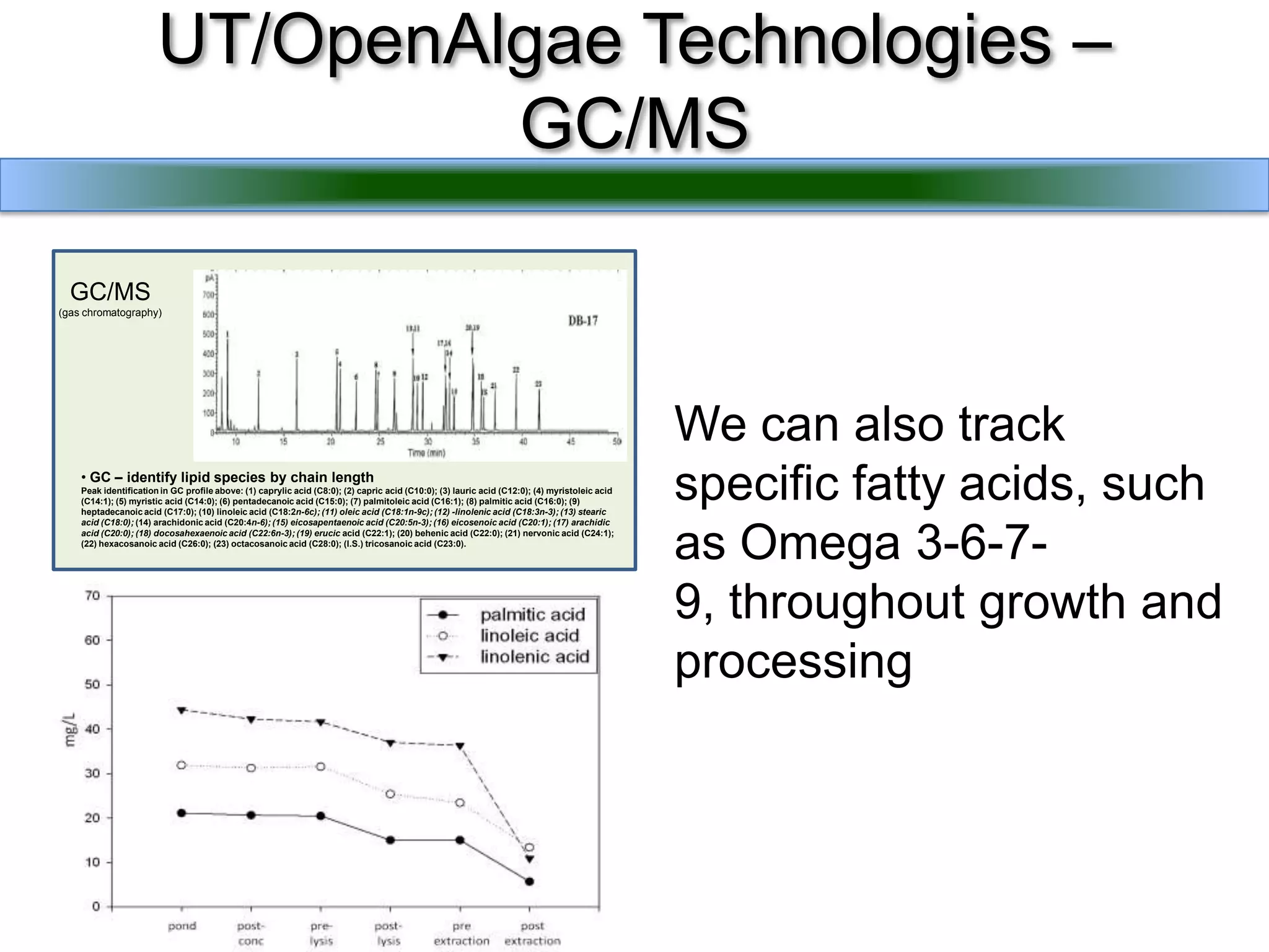 UT/OpenAlgae Technologies – GC/MSWe can also track specific fatty acids, such as Omega 3-6-7-9, throughout growth and processingGC/MS(gas chromatography) GC – identify lipid species by chain length Peak identification in GC profile above: (1) caprylic acid (C8:0); (2) capric acid (C10:0); (3) lauric acid (C12:0); (4) myristoleic acid (C14:1); (5) myristic acid (C14:0); (6) pentadecanoic acid (C15:0); (7) palmitoleicacid (C16:1); (8) palmitic acid (C16:0); (9) heptadecanoic acid (C17:0); (10) linoleic acid (C18:2n-6c); (11) oleic acid (C18:1n-9c); (12) -linolenic acid (C18:3n-3); (13) stearic acid (C18:0); (14) arachidonic acid (C20:4n-6); (15) eicosapentaenoic acid (C20:5n-3); (16) eicosenoic acid (C20:1); (17) arachidic acid (C20:0); (18) docosahexaenoic acid (C22:6n-3); (19) erucicacid (C22:1); (20) behenic acid (C22:0); (21) nervonic acid (C24:1); (22) hexacosanoic acid (C26:0); (23) octacosanoic acid (C28:0); (I.S.) tricosanoic acid (C23:0).