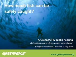 How much fish can be
safely caught?




                  A Greens/EFA public hearing
           Sebastián Losada, Greenpeace International
               European Parliament , Brussels, 3 May 2011
 