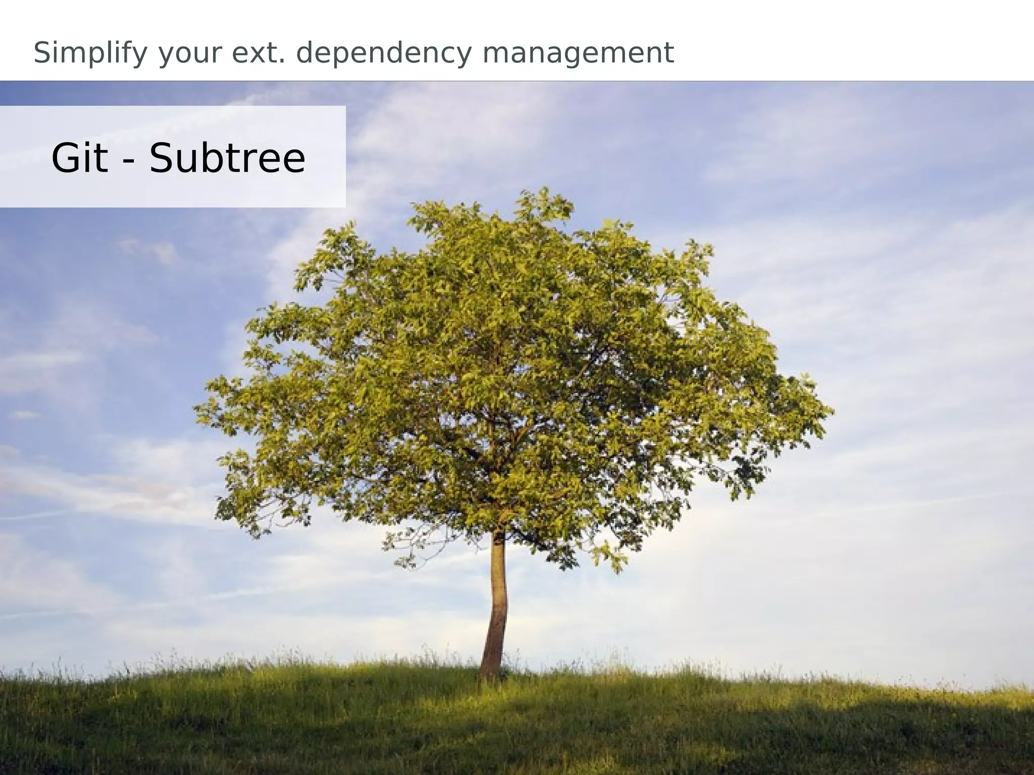 Simplify your ext. dependency management


 Git - Subtree
 