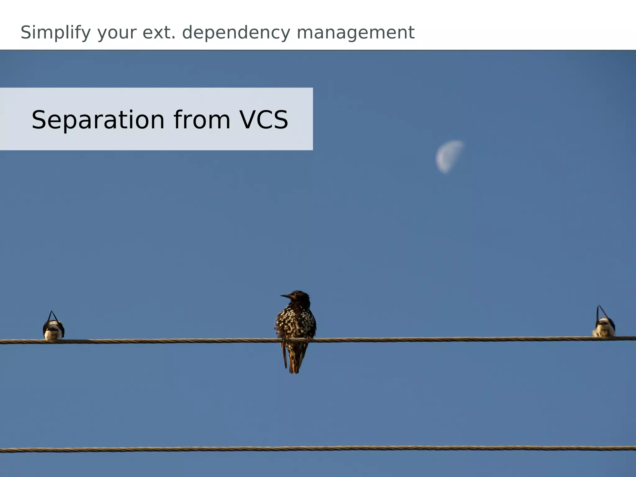 Simplify your ext. dependency management




 Separation from VCS
 