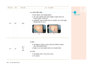 ◈ 그림자 인형극 발표
▶ 준비한 내용으로 그림자 인형극을 발표한다.
▶ 다른 그림자 인형극을 준비한 모둠의 학생들도 자신들이 준비한 것과
비교해서 감상할 수 있도록 한다.
▶ 감상관점(평가 학습지의 내용)에 대해 미리 안내해주는 것도 진지한 감상을
위해 좋은 방법이 될 것이다.
◈ 평가
▶ 다른 모둠을 보고 칭찬해 주고 싶은 점, 잘한 점과 어려웠던 점, 보완하고
싶은 점 등을 학습지에 정리한다.
▶ 학생들 스스로가 잘한 모둠에게 칭찬스티커나 점수를 부여한다.
◈ 정리
▶ 모둠 발표를 사진이나 UCC로 찍어서 남긴다.
▶ 각자 정리한다.
앞 뒤
106 ArtE 초등 미술과 심화 자료
평가 10′
평가
및
정리
발표 30′ 발표
학 습 단 계 시량 학 습 내 용 교 수 - 학 습 활 동
5-8● 자 료
학습지, 스티커
 