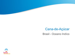 Cana-de-Açúcar
Brasil - Oceano Indíco
 