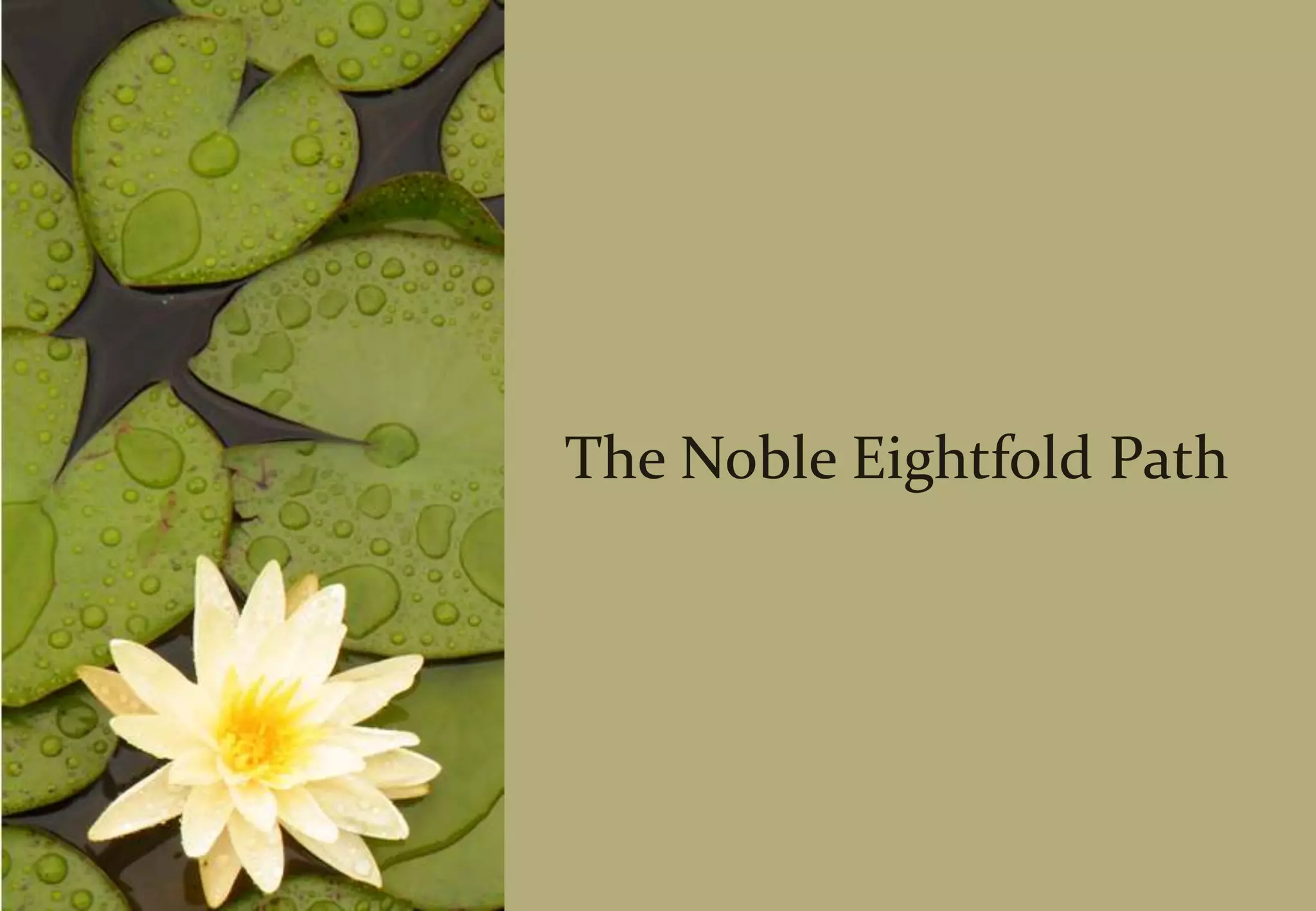 5. PañcaViññāna, Sense Consciousness