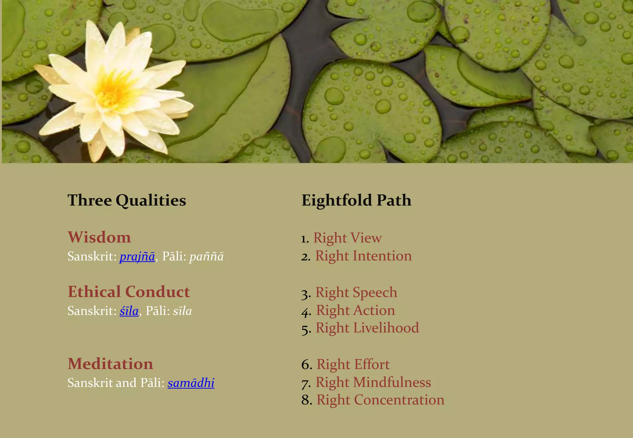 7. Santīrana, Investigating Consciousness