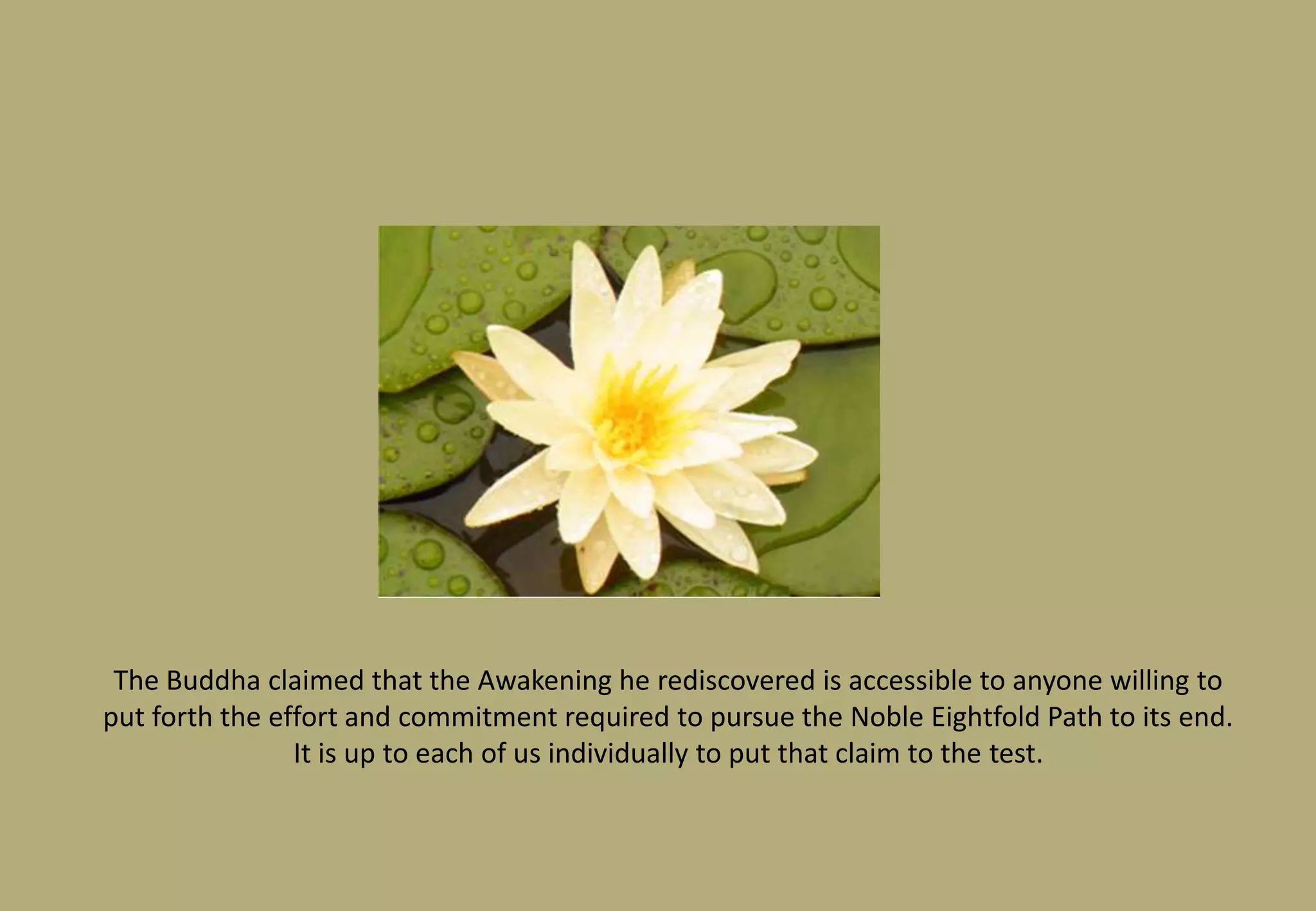 THE FOUR NOBLE TRUTHSThe Noble Truth of Suffering  The Noble Truth of the Origin of Suffering The Noble Truth of the Cessation of SufferingThe Noble Truth of the Way to the Cessation of Suffering