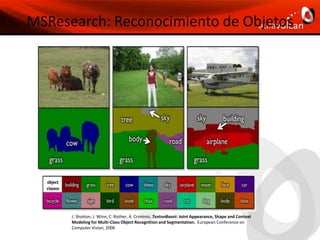 body sizehairFOVbody typeclothesanglepetsfurniturePruebas: The test matrix4