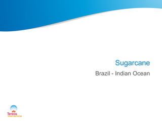 Sugarcane
Brazil - Indian Ocean
 