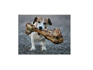 웹 2.0 시대의 대표적 모델