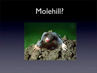 Molehill?
 