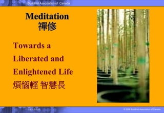 Meditation禪修Towards aLiberated andEnlightened Life煩惱輕智慧長