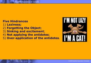 Five Hindrances1) Laziness;2) Forgetting the Object; 3) Sinking and excitement; 4) Not applying the antidotes;5) Over-application of the antidotes. 