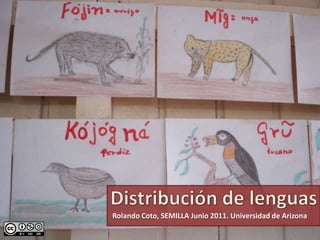 Distribución de lenguas Rolando Coto, SEMILLA Junio 2011. Universidad de Arizona 