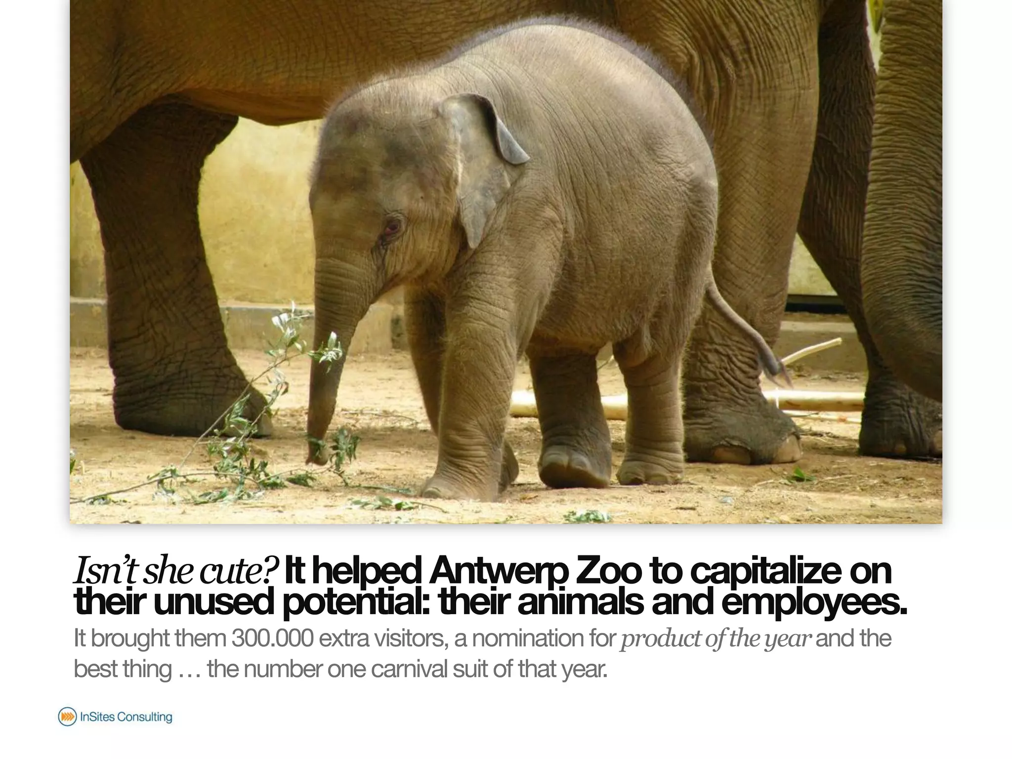 Isn’t she cute? It helped Antwerp Zoo to capitalize on
                       their unused potential: their animals and employees.
                       It brought them 300.000 extra visitors, a nomination for product of the year and the
                       best thing … the number one carnival suit of that year.
© InSites Consulting




                                                                                                Conversation readiness   8
 