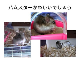 ϥॹ`襤Ǥ礦
 