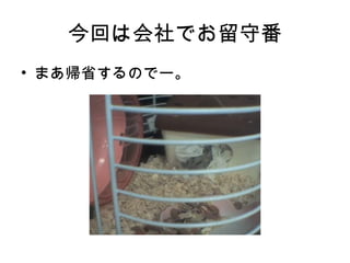 ؤϻǤط
? ޤʡΤǩ`
 